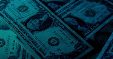 Hvad er bruttofaktorindkomst?